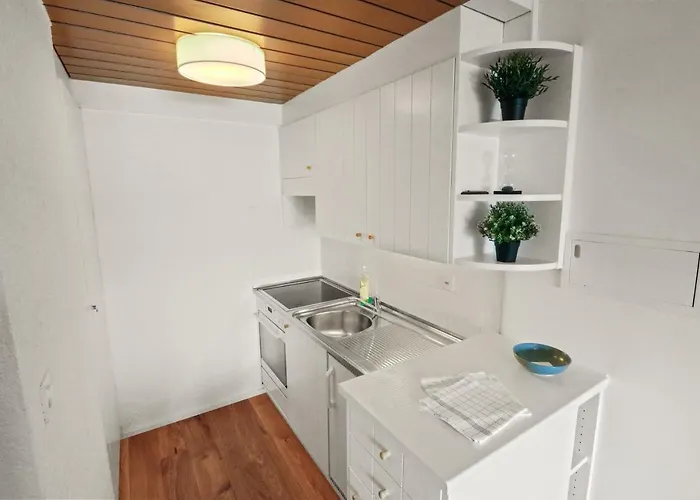 Superbe Avec Piscine Appartement Nendaz
